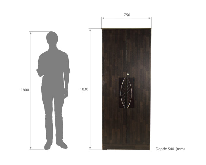 Litae 2-Door Engineered Wood Wardrobe – Compact Almirah for Bedroom