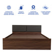Lush Queen Bed – Modern Storage Bed with Non-Woven Base