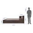 Kaito Bed With Box Storage  (Non-Woveen)