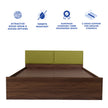 Lush Queen Bed – Modern Storage Bed with Non-Woven Base