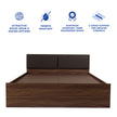 Lush Queen Bed – Modern Storage Bed with Non-Woven Base