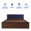 Lush Queen Bed – Modern Storage Bed with Non-Woven Base