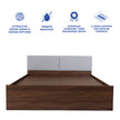 Lush Queen Bed – Modern Storage Bed with Non-Woven Base
