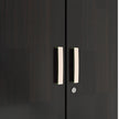 Kenzou 2 Door Wardrobe