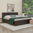 Muses Queen Bed with Solid Wood Headboard and Box Storage – Walnut Finish